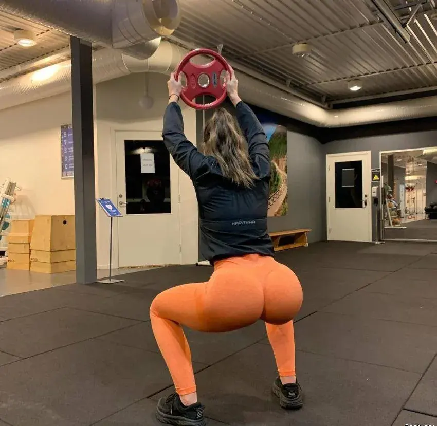 HollyYöt